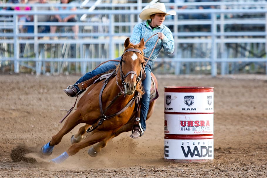 rodeo, horse, barrel, western, animal, co, cowgirl, trot, speed, woman