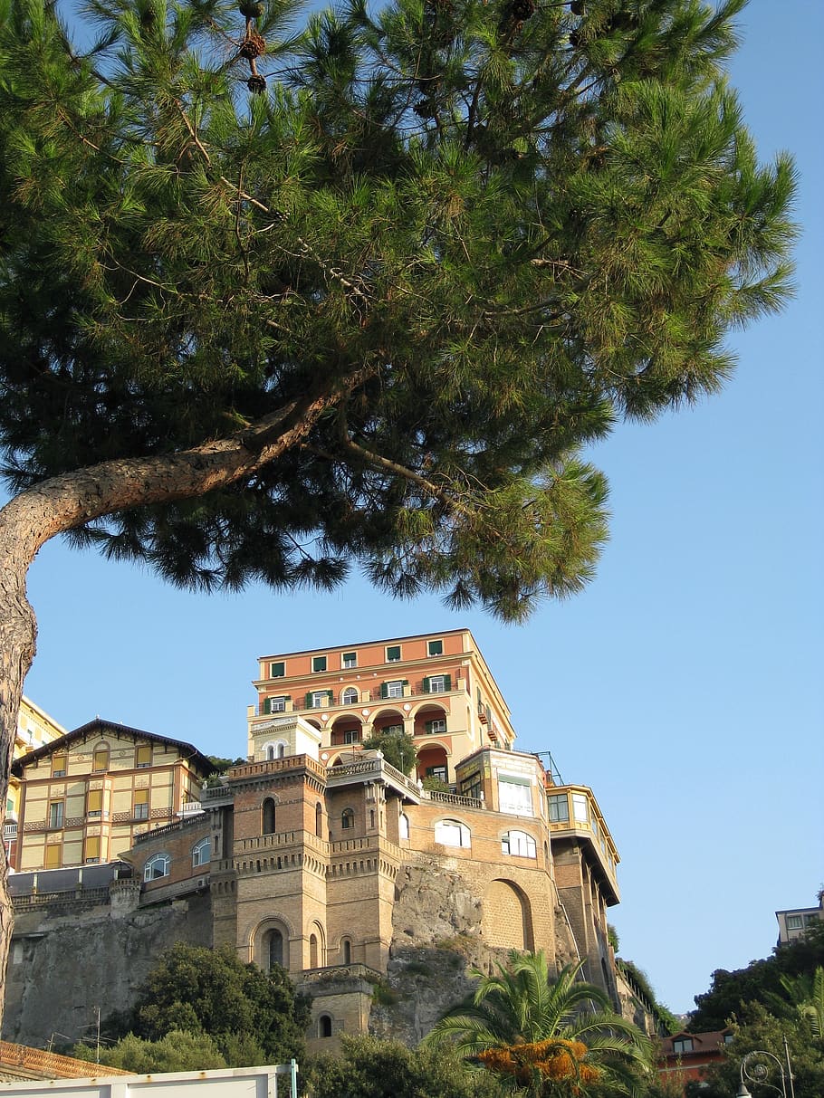 hill side, sorrento, italy, building exterior, tree, plant, architecture, built structure, building, low angle view