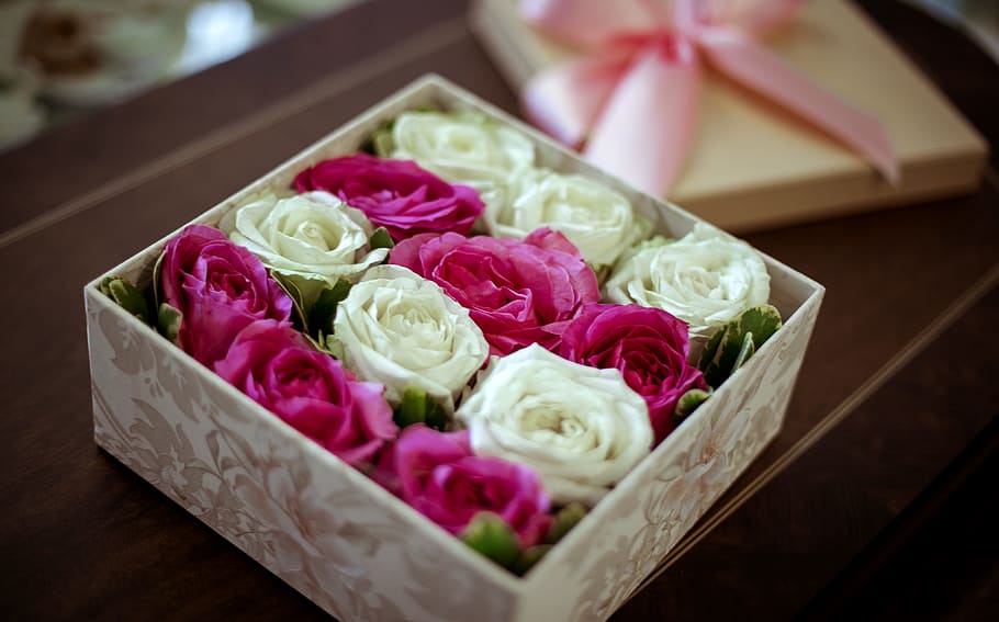 pink, white, roses, box, punnet, romantic, love, flowers, woman, gift