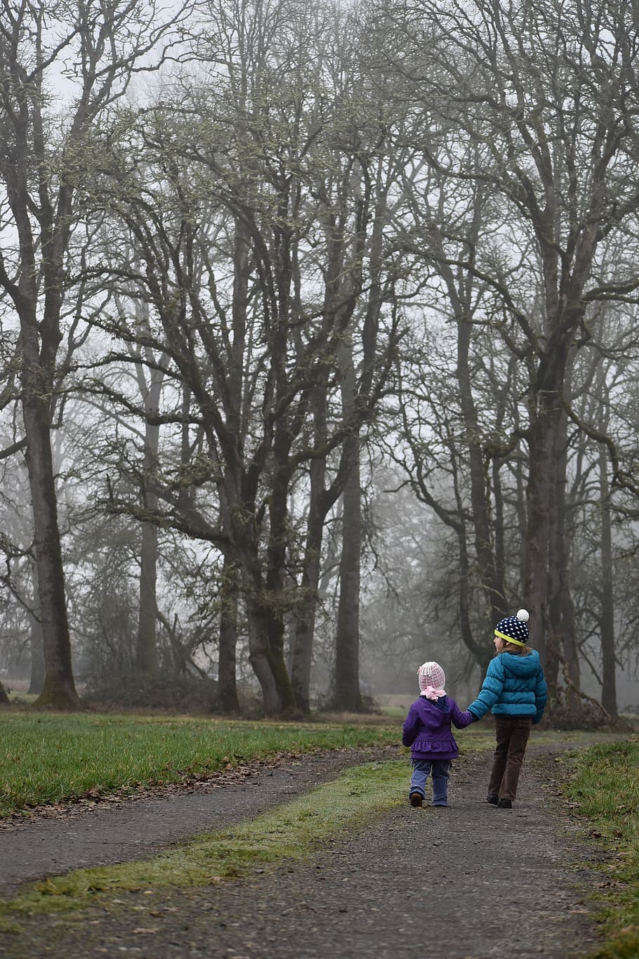kids, girls, walking, forest, fog, path, trees, background, wallpaper, tree