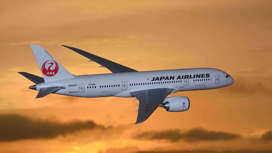japan, japan airlines, model planes, boeing dreamliner, boeing 787, air vehicle, transportation, airplane, flying, mode of transportation