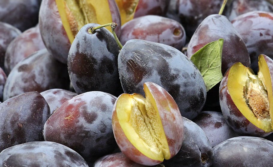 plums, fruit, fruits, ripe, violet, food, healthy, vitamins, fresh, tasty