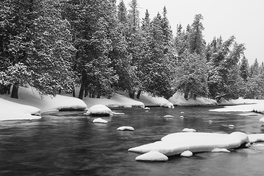 river, water, snow, cold, winter, trees, forest, woods, outdoors, nature
