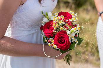 Página 32 | Fotos flores de mano libres de regalías | Pxfuel