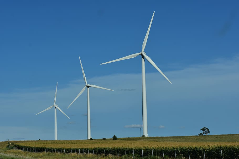 windmills, electricity, farm, wind turbine, white, power, environmental, energy, resource, ecology