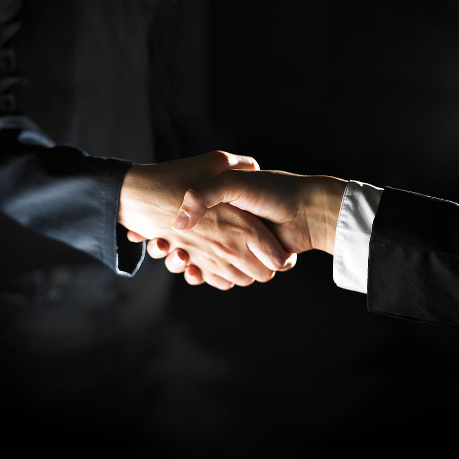 business, cooperation, handshake, people, agreement, man, contract, deal, hand, greeting