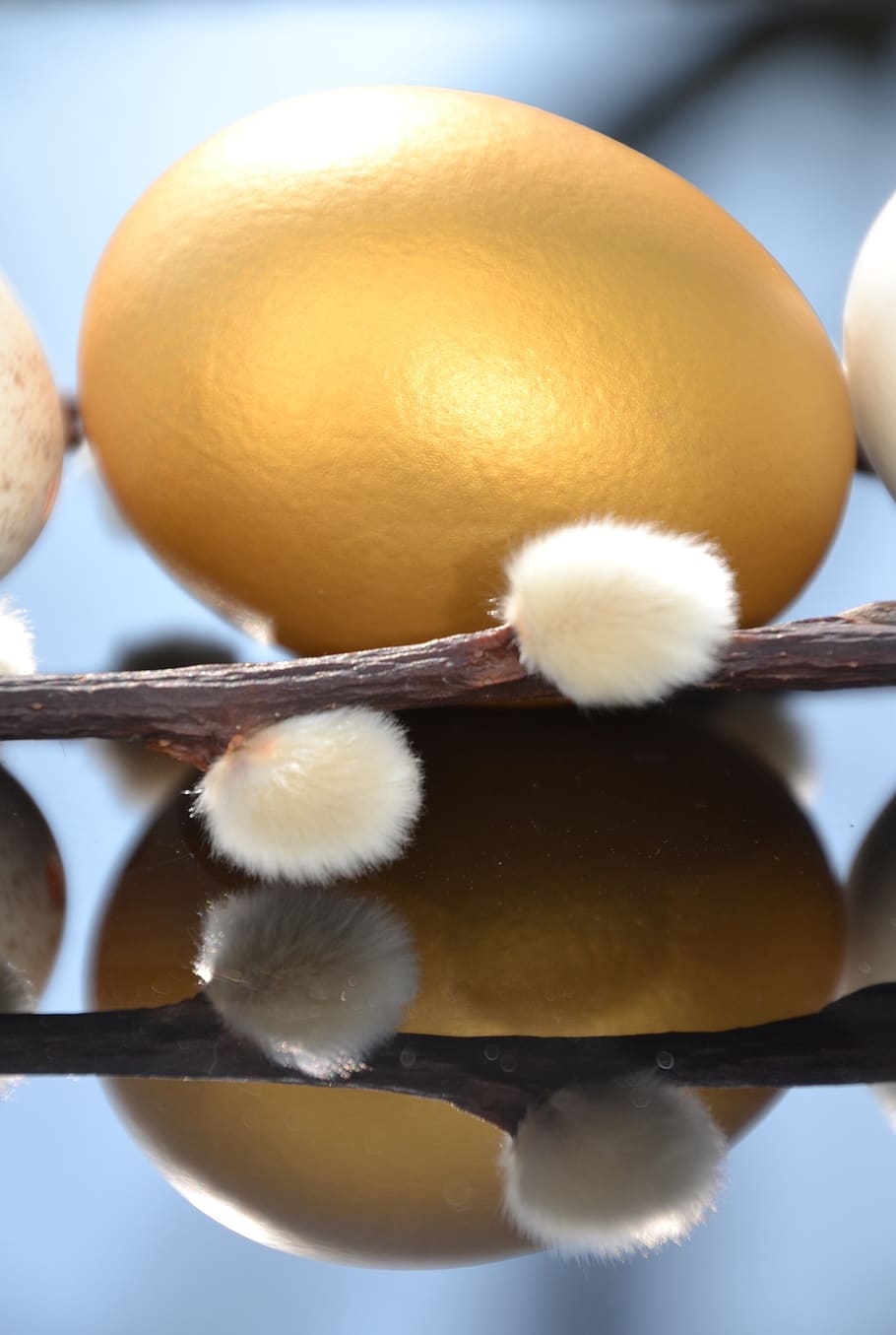 egg, hen's egg, easter, eggshell, close up, palm kitten, goldei, mirroring, white, gold