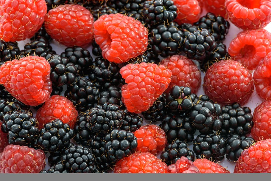 blackberry, raspberry, beri, buah-buahan, vitamin, makanan, sehat, buah, buah berry, makanan sehat