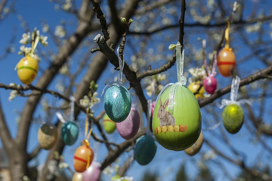 пасха, яйцо, яйца, весна, красочный, цветной, расписной, милый, елка, праздники