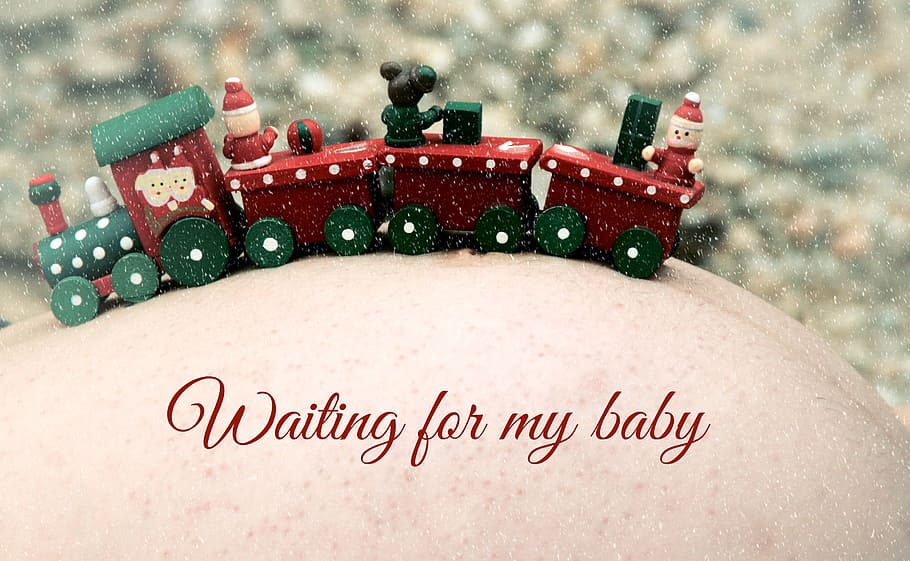 pregnant, nature, bump, mother, toy, text, one person, close-up, human body part, western script