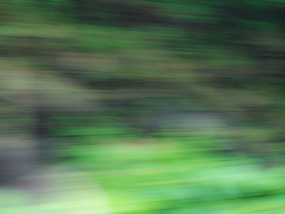 motion blur, trees, Abstract, Nature, black, blur, green, motion, blurred motion, backgrounds