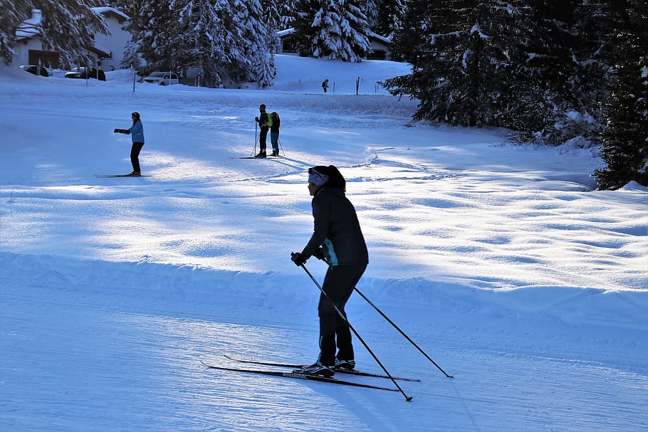 esquiadores, esportes de inverno, neve, inverno, relaxamento, suíça, esqui, saúde, vista, férias