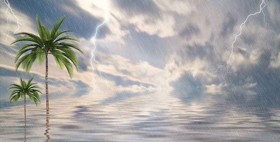 rain, tropical, sea, nature, water, palm tree, cloud - sky, plant, sky, tree