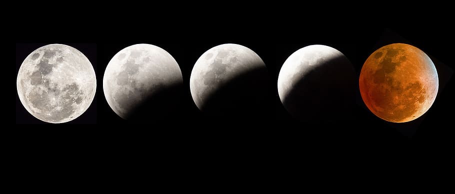 blood moon eclipse, moon, eclipse, night, sky, space, full, lunar, astronomy, dark