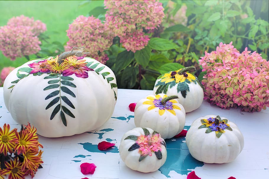fall, autumn, pumpkins, white pumpkins, decorations, decoupage, nature, colorful, flowering plant, flower