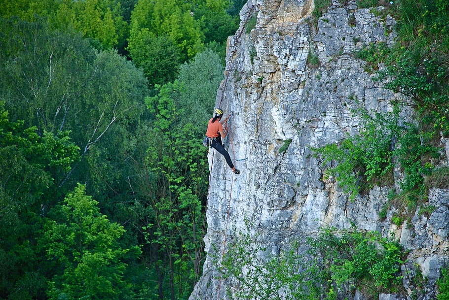 rock climber, sports, mountaineering, height, vacation, high, tree, landscape, journey, top