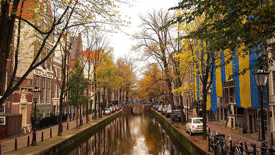 água, canal, ruas, árvores, outono, carros, cidade, urbano, árvore, agua