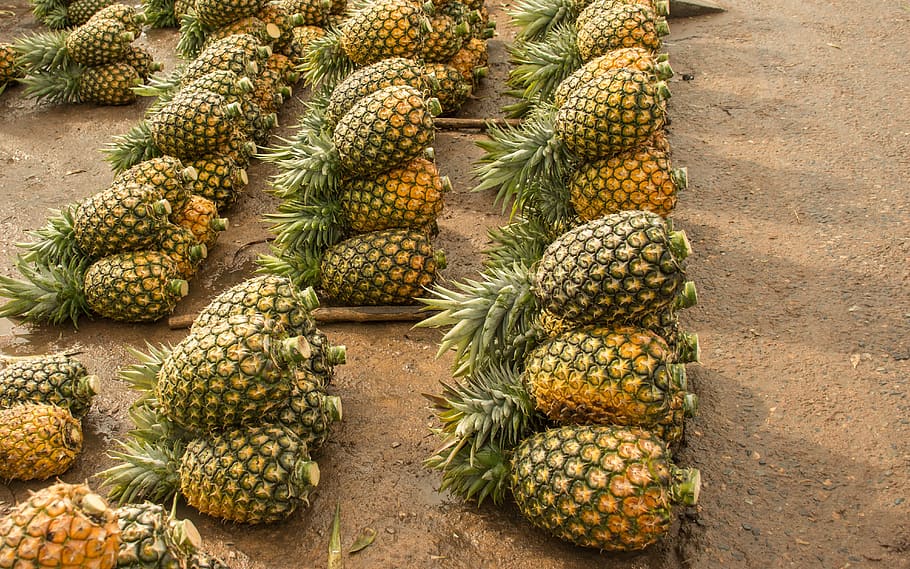 pineapple, fruit, tropical, diet, healthy, food, food and drink, healthy eating, wellbeing, freshness