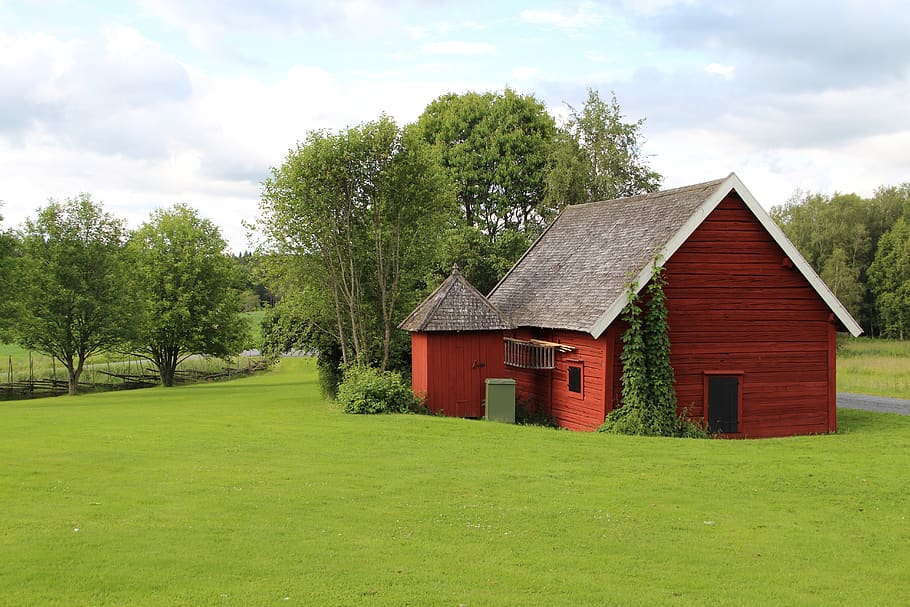 children, barn, country, farm, nature, bed, pasture, landscapes, field, rural