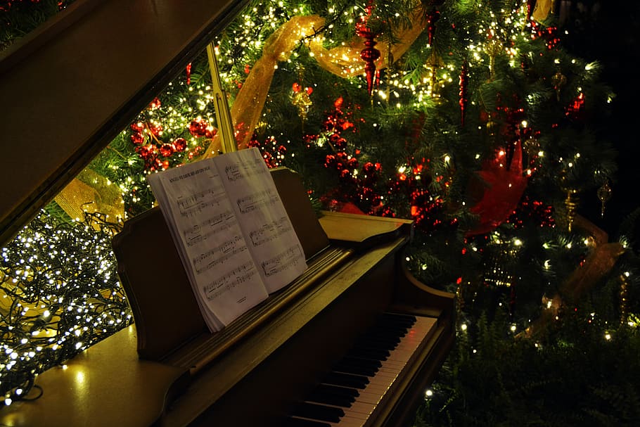 piano, música, sazonal, dezembro, celebração, natal, árvore, árvore de natal, decoração, planta