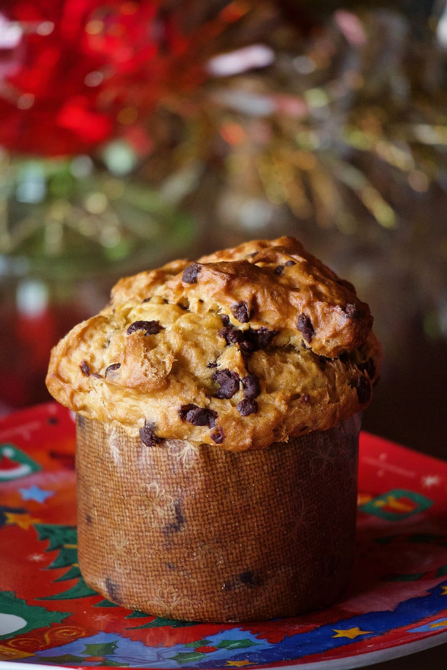 panettone, sweet, christmas, food, gluten-, decoration, pastry, dessert, advent, christmas lunch
