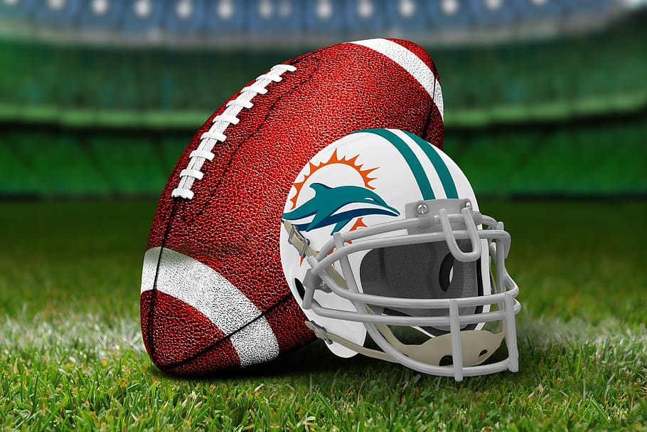 american football, national football league, nfl, miami dolphins, grass, sport, plant, close-up, green color, day
