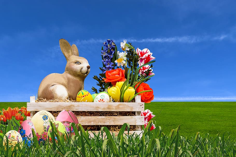 emosi, paskah, kelinci paskah, musim semi, dekorasi, dekorasi paskah, sarang paskah, salam paskah, telur paskah, tulip