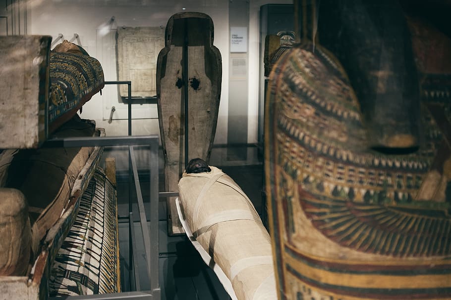 mummies in sarcophagi, aged, ancient, archaeological, archeology, artefact, collection, culture, dead, egypt