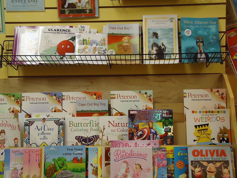 books, kids, children, shelf, wall, shelves, rack, display, store, shop