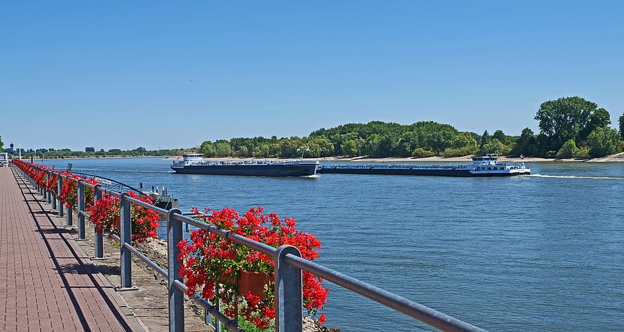 Niederrhein, paseo marítimo de Rin, ciudad de Rees, barandilla, decoraciones florales, geranio, verano, parcialmente nublado, buques de carga, transporte por vías navegables