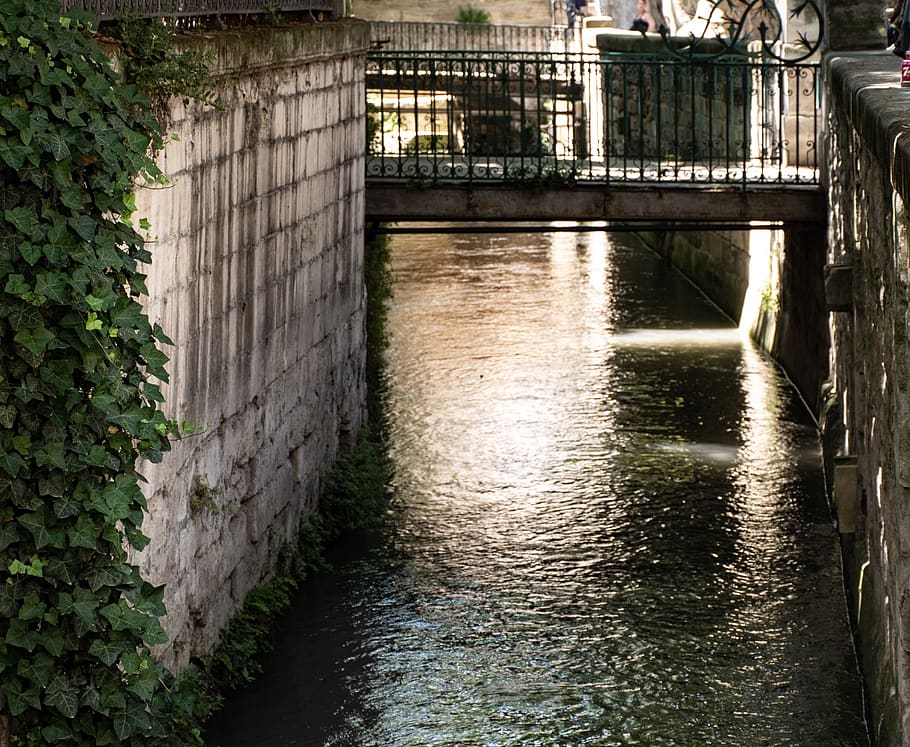 avignon, city, canal, walkway, walking bridge, water, waterway, watercourse, reflection, ivy