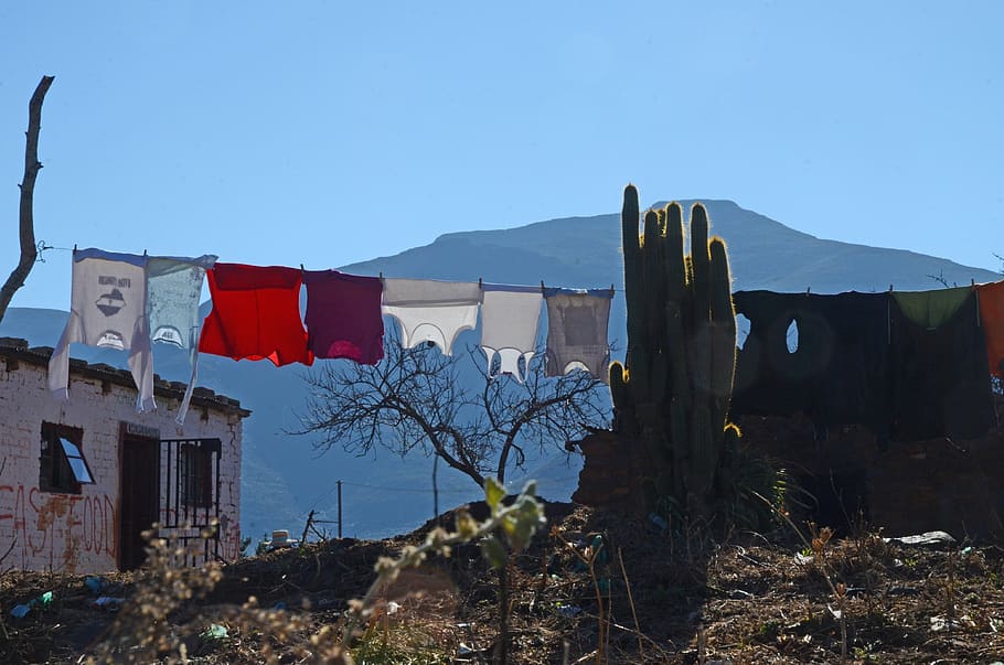 washing, mountain, sky, cactus, blue, line, laundry, outdoor, architecture, clear sky