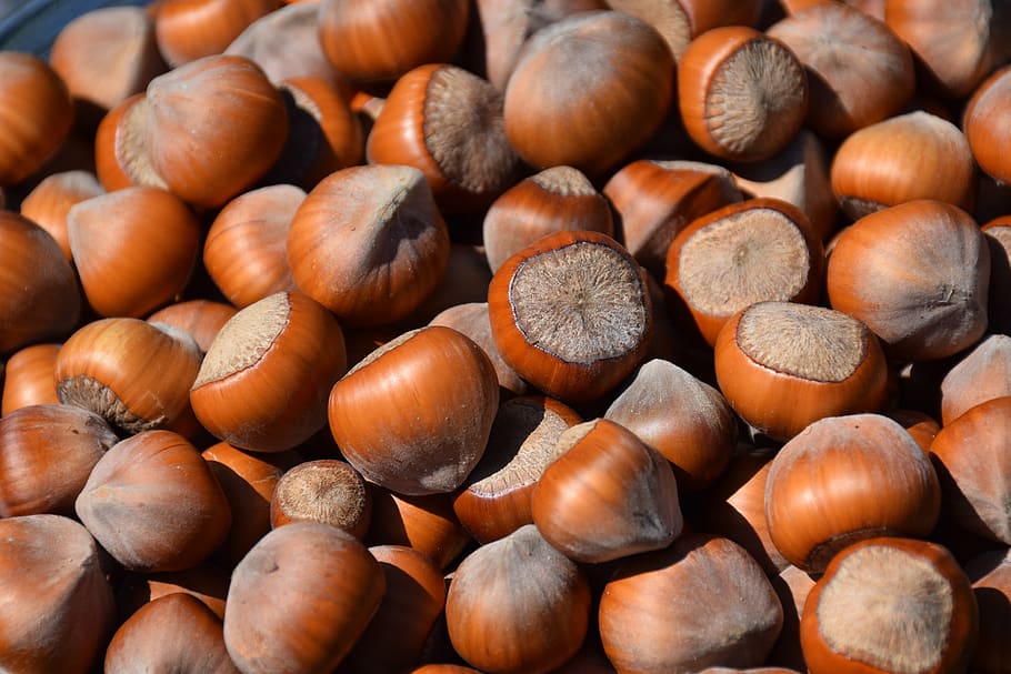 hazelnut, hazel, nuts, fruit, large group of objects, food and drink, full frame, food, brown, nut