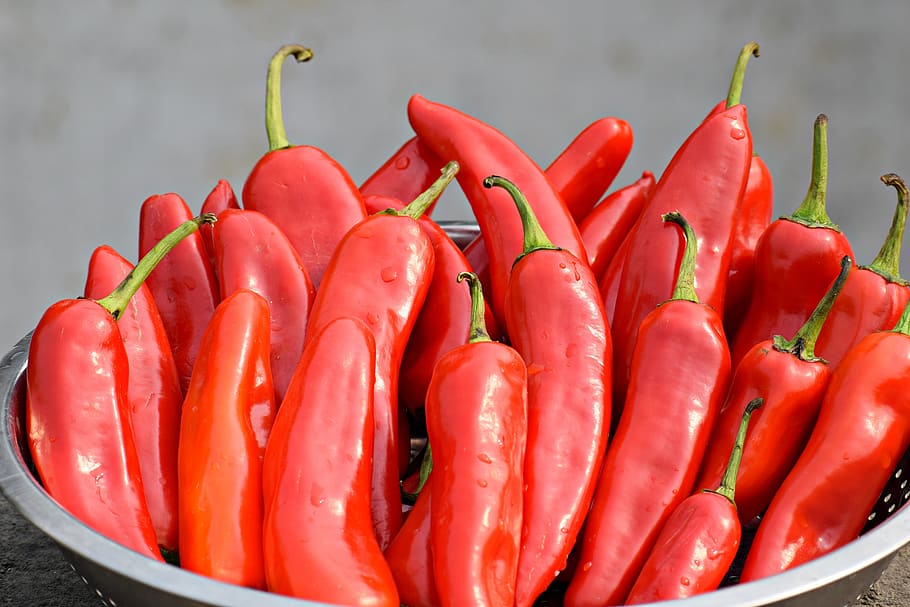 chilies, red, food, pepper, cooking, spice, hot, vegetables, spices, spicy