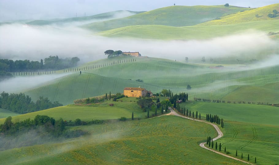 val d'orcia, tuscany, italy, scenics - nature, environment, landscape, field, beauty in nature, land, tranquil scene