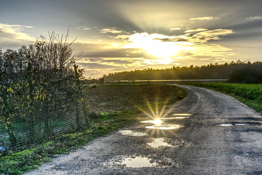 puddle, backlighting, mirroring, reflection, dazzling star, sun, sunset, lane, forest path, gravel