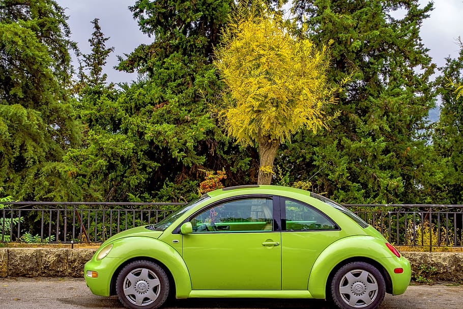 coche, escarabajo, volkswagen, automóvil, verde, nuevo, limpio, exterior, naturaleza, árbol