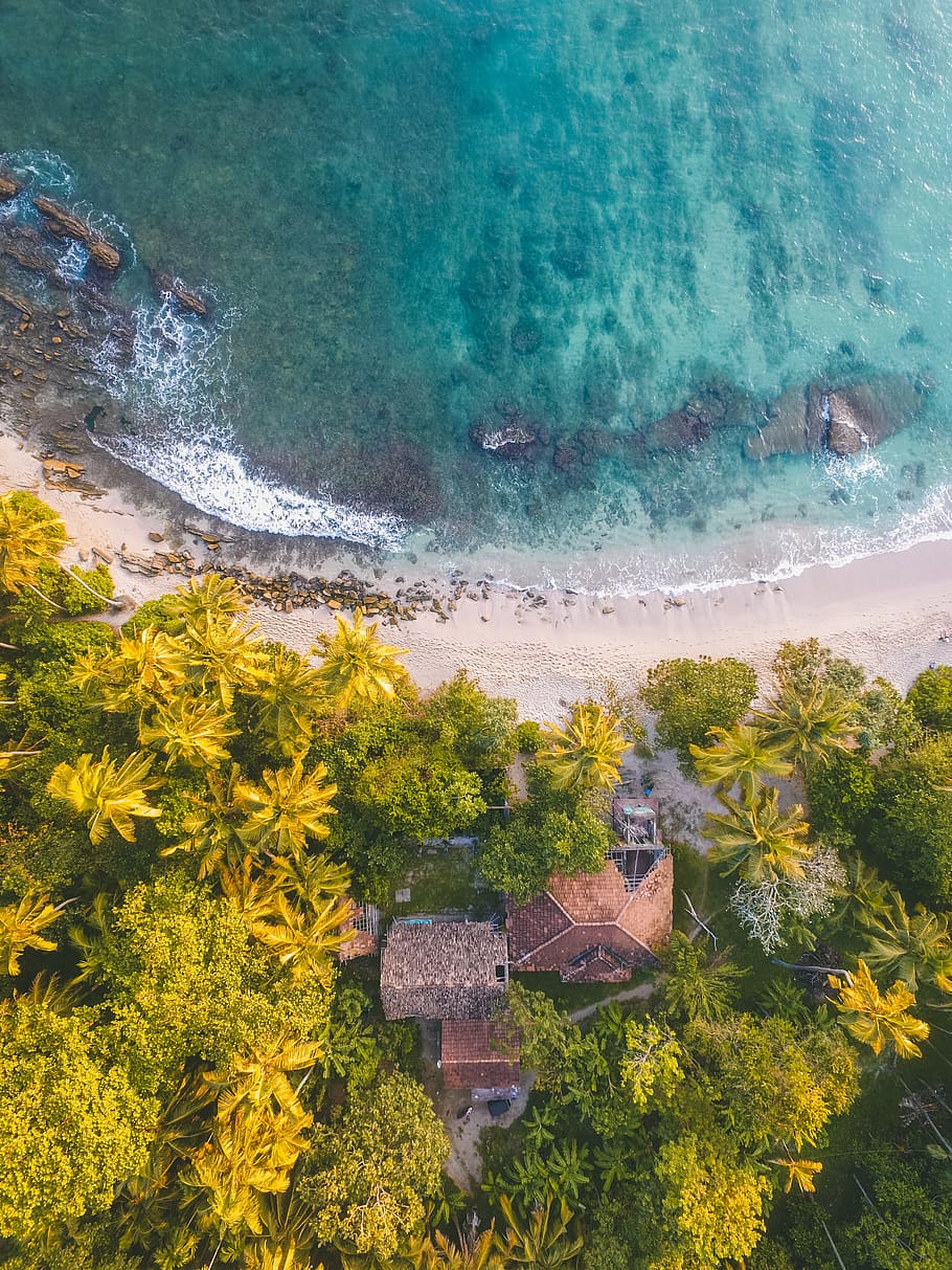 aerial, drone shot, house, villa, palm, trees, tropical, tropics, travel, sand