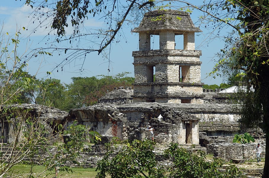 mexico, palenque, ruins, maya, temple, archaeology, culture, monument, pre-hispanic, architecture