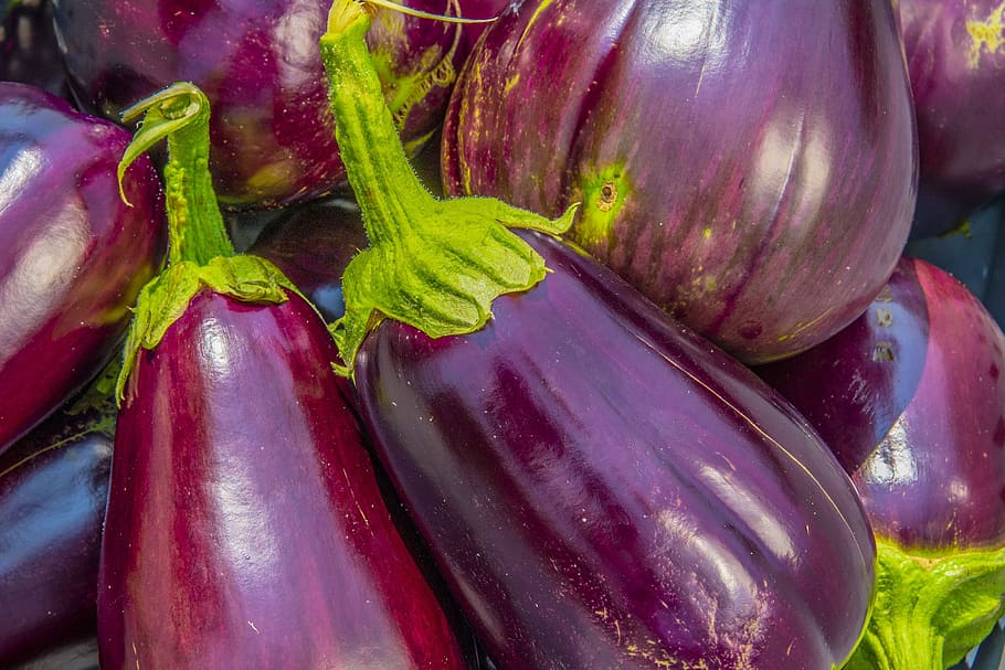 eggplant, aubergine, solanum melongena, raw, fresh, brinjal, melongene, garden, guinea squash, ripe