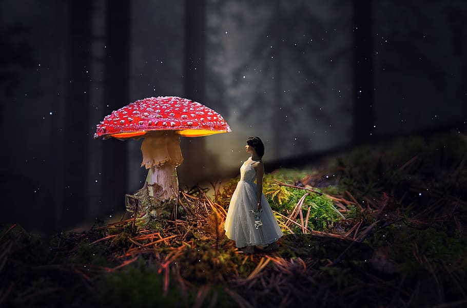 girl, mushroom, forest, fairytale, fairy tale, woman, nature, magic, surreal, one person
