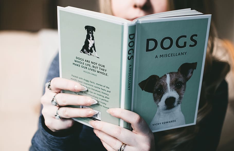 woman, reading, book, dogs, pet, animals, people, domestic animals, mammal, domestic
