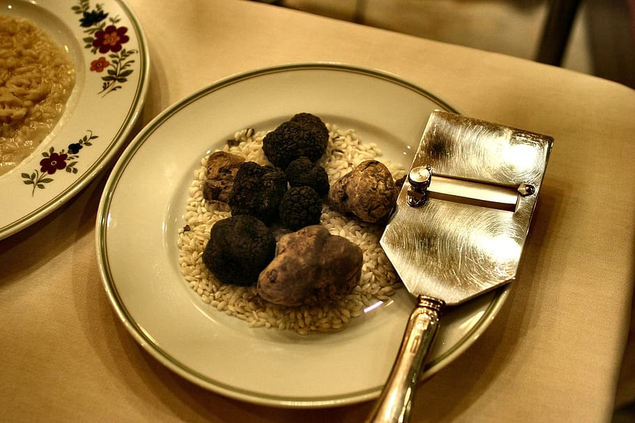 truffles, slicer, plate, black, cut, indoors, restaurant, autumn, brown, close-up