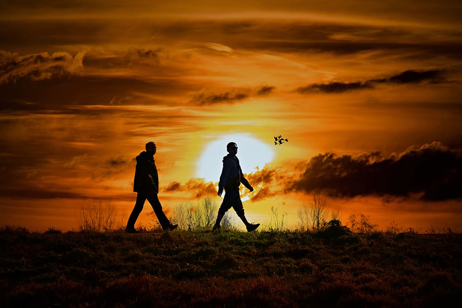 people, pedestrians, walking, motion, two, pair, together, following, silhouette, sunset