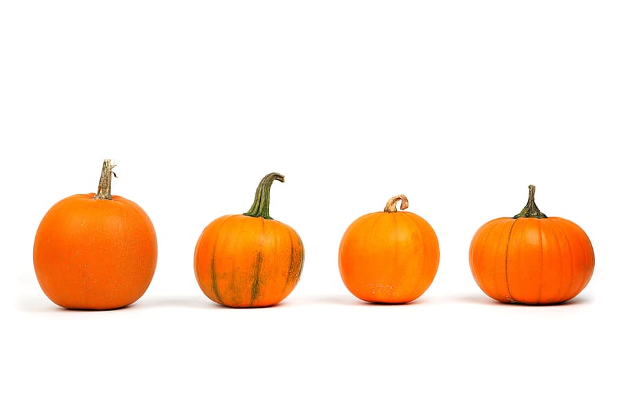 pumpkins, ingredient, minimal, minimalistic, orange, pumpkin, simple, simplistic, vegetable, food and drink