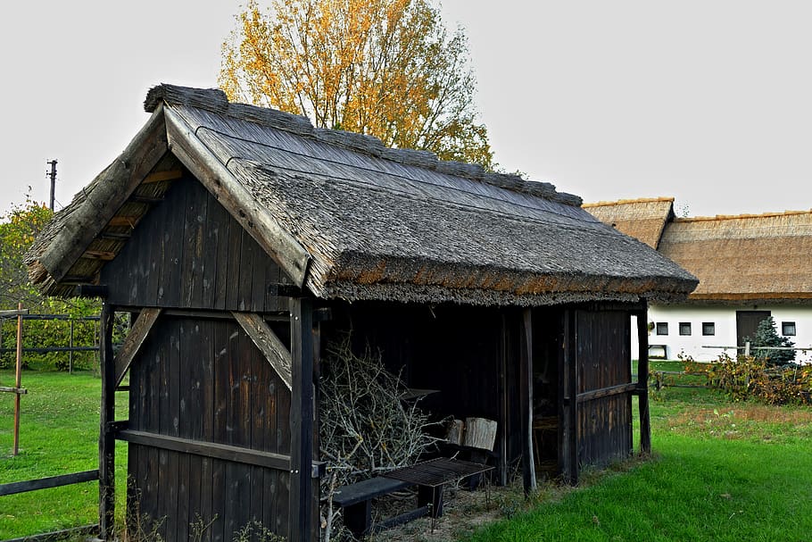 Сарай страшный фото