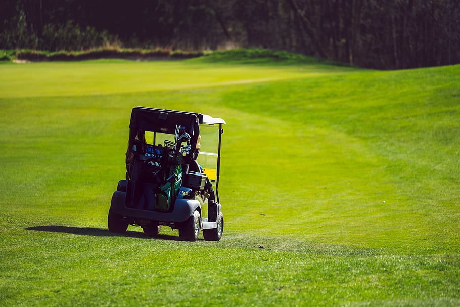 golf cart, grass, outdoor, golf, course, spring, lifestyle, green, hobby, clubs