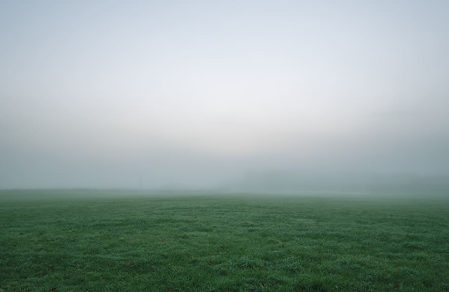 grass, field, landscape, fog, sky, mist, cloud, grassland, nature, green