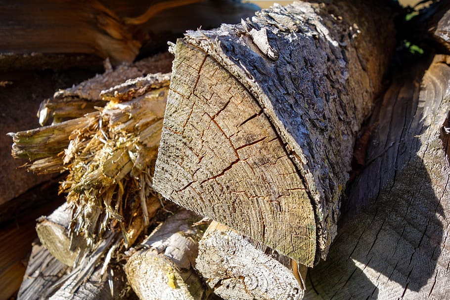 pile of wood, meter beating, firewood, log, burn, energy, timber, tree, forest, nature