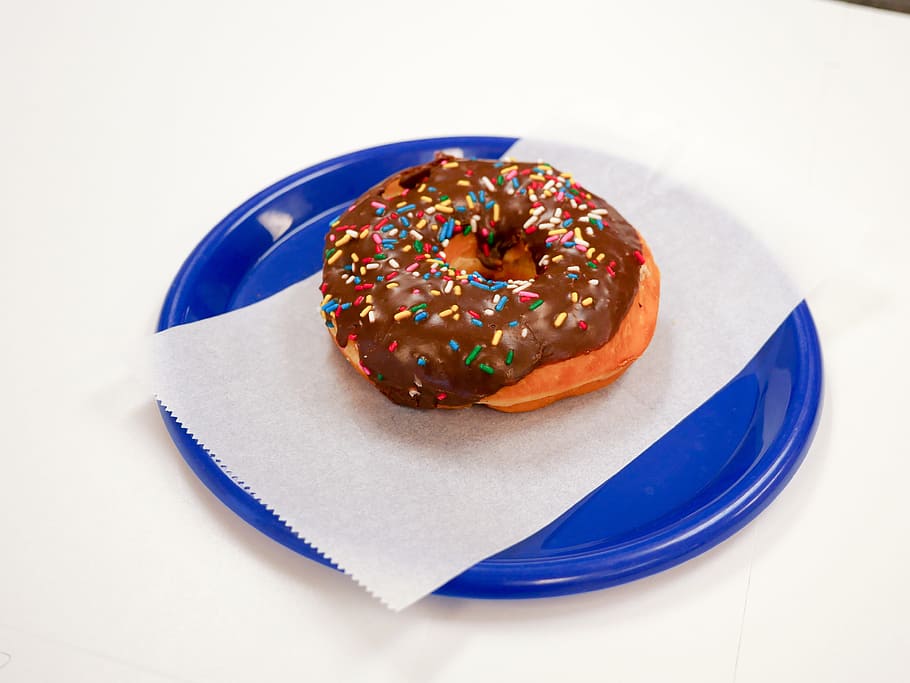 donut de chocolate, azul, plato, blanco, fondo, panadería, desayuno, calorías, chocolate, colorido